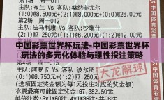 中国彩票世界杯玩法-中国彩票世界杯玩法的多元化体验与理性投注策略