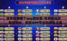 世界杯用哪个app买彩票-世界杯狂欢，智慧购彩，剖析APP平台的购彩之道
