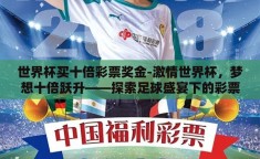 世界杯买十倍彩票奖金-激情世界杯，梦想十倍跃升——探索足球盛宴下的彩票奇缘