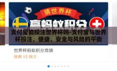 支付宝能投注世界杯吗-支付宝与世界杯投注，便捷、安全与风险的平衡
