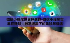 微信小程序世界杯赌球-微信小程序世界杯赌球，数字迷雾下的风险与机遇