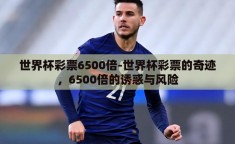 世界杯彩票6500倍-世界杯彩票的奇迹，6500倍的诱惑与风险