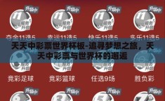 天天中彩票世界杯板-追寻梦想之旅，天天中彩票与世界杯的邂逅