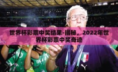 世界杯彩票中奖结果-揭秘，2022年世界杯彩票中奖奇迹