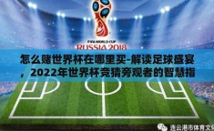 怎么赌世界杯在哪里买-解读足球盛宴，2022年世界杯竞猜旁观者的智慧指南