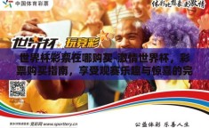 世界杯彩票在哪购买-激情世界杯，彩票购买指南，享受观赛乐趣与惊喜的完美融合