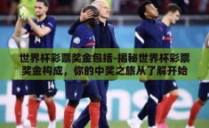 世界杯彩票奖金包括-揭秘世界杯彩票奖金构成，你的中奖之旅从了解开始