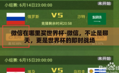 微信在哪里买世界杯-微信，不止是聊天，更是世界杯的即时战场