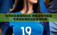 世界杯彩票如何投注-把握激情与机遇，世界杯彩票投注的智慧指南