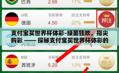 支付宝买世界杯体彩-绿茵狂欢，指尖购彩 —— 探秘支付宝买世界杯体彩的潮流与乐趣