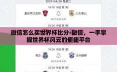 微信怎么买世界杯比分-微信，一手掌握世界杯风云的便捷平台