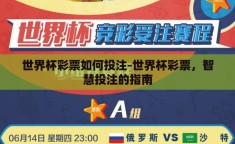 世界杯彩票如何投注-世界杯彩票，智慧投注的指南
