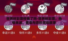 世界杯彩票停售了吗-世界杯彩票，热情未减，售卖与否的背后故事