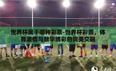 世界杯属于哪种彩票-世界杯彩票，体育激情与数字博彩的完美交融