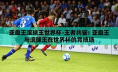 亚盘王滚球王世界杯-王者共鉴: 亚盘王与滚球王在世界杯的竞技场