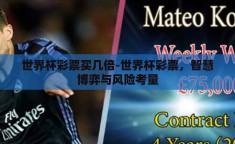 世界杯彩票买几倍-世界杯彩票，智慧博弈与风险考量