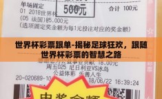 世界杯彩票跟单-揭秘足球狂欢，跟随世界杯彩票的智慧之路