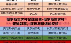 俄罗斯世界杯足球彩票-俄罗斯世界杯足球彩票，狂热与机遇的交织