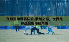 在那里赌世界杯的-紫禁之巅，世界足球盛宴的隐秘角落