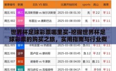 世界杯足球彩票哪里买-挖掘世界杯足球彩票的购买之旅，实用指南与行业概况