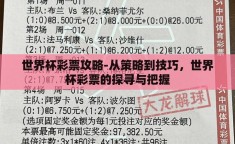 世界杯彩票攻略-从策略到技巧，世界杯彩票的探寻与把握