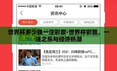 世界杯多少钱一注彩票-世界杯彩票，一注之乐与经济热潮