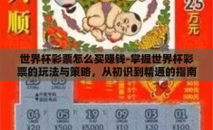 世界杯彩票怎么买赚钱-掌握世界杯彩票的玩法与策略，从初识到精通的指南