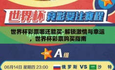 世界杯彩票哪还能买-解锁激情与幸运，世界杯彩票购买指南