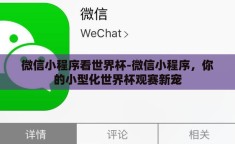 微信小程序看世界杯-微信小程序，你的小型化世界杯观赛新宠