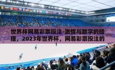 世界杯网易彩票投注-激情与数字的碰撞，2023年世界杯，网易彩票投注的背后故事