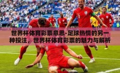 世界杯体育彩票意思-足球热情的另一种投注，世界杯体育彩票的魅力与解析
