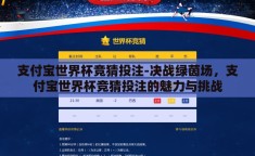 支付宝世界杯竞猜投注-决战绿茵场，支付宝世界杯竞猜投注的魅力与挑战