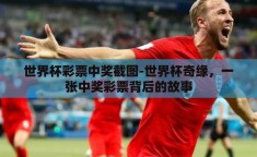 世界杯彩票中奖截图-世界杯奇缘，一张中奖彩票背后的故事