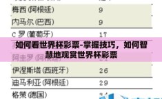 如何看世界杯彩票-掌握技巧，如何智慧地观赏世界杯彩票