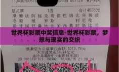 世界杯彩票中奖信息-世界杯彩票，梦想与现实的交织