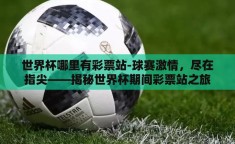 世界杯哪里有彩票站-球赛激情，尽在指尖——揭秘世界杯期间彩票站之旅