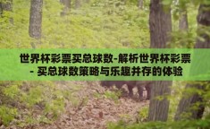 世界杯彩票买总球数-解析世界杯彩票 - 买总球数策略与乐趣并存的体验