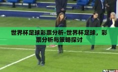 世界杯足球彩票分析-世界杯足球，彩票分析与策略探讨