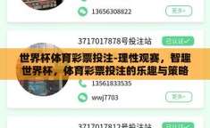 世界杯体育彩票投注-理性观赛，智趣世界杯，体育彩票投注的乐趣与策略