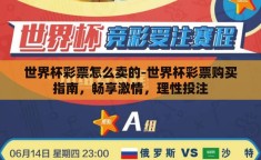 世界杯彩票怎么卖的-世界杯彩票购买指南，畅享激情，理性投注