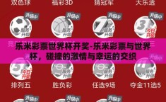 乐米彩票世界杯开奖-乐米彩票与世界杯，碰撞的激情与幸运的交织
