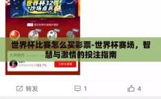 世界杯比赛怎么买彩票-世界杯赛场，智慧与激情的投注指南