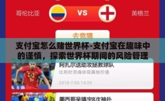 支付宝怎么赌世界杯-支付宝在趣味中的谨慎，探索世界杯期间的风险管理
