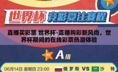 直播买彩票 世界杯-直播购彩新风尚，世界杯期间的在线彩票热潮体验