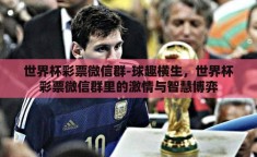 世界杯彩票微信群-球趣横生，世界杯彩票微信群里的激情与智慧博弈
