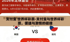 支付宝 世界杯彩票-支付宝与世界杯彩票，便捷与激情的碰撞
