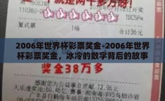 2006年世界杯彩票奖金-2006年世界杯彩票奖金，冰冷的数字背后的故事