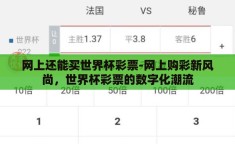 网上还能买世界杯彩票-网上购彩新风尚，世界杯彩票的数字化潮流