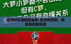 世界杯彩票微信能买-世界杯狂欢，微信购彩新风尚
