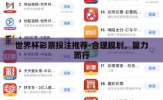 世界杯彩票投注推荐-合理规划，量力而行